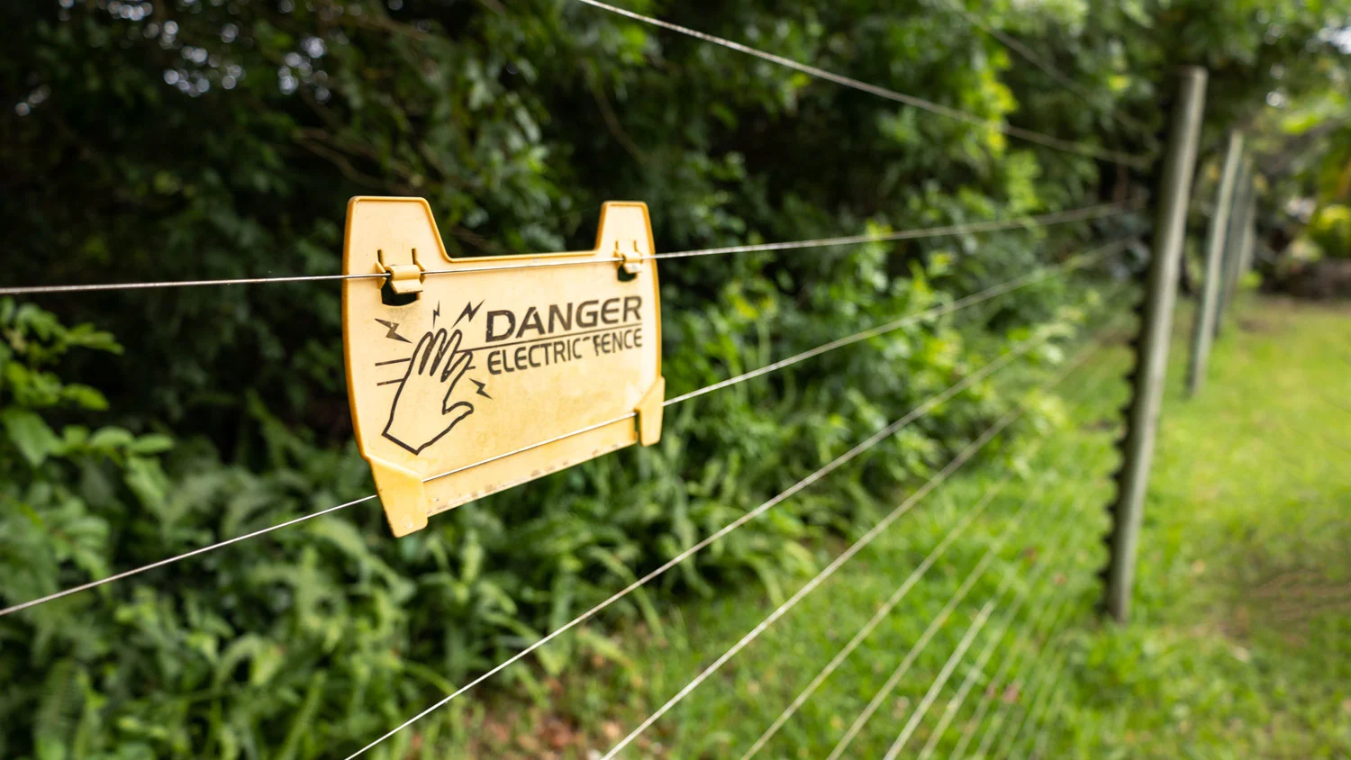 Wall Top Electric Fence Installation