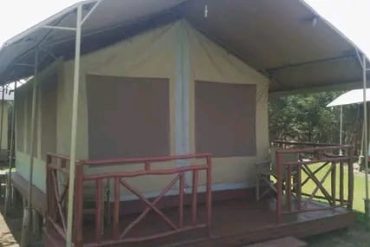 camping tents