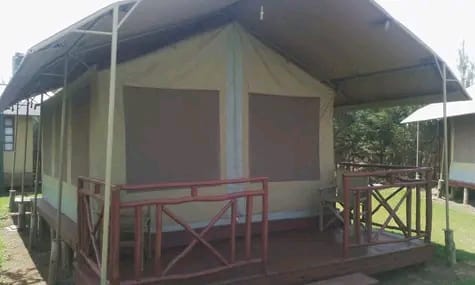camping tents