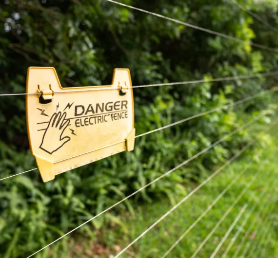 Wall Top Electric Fence Installation
